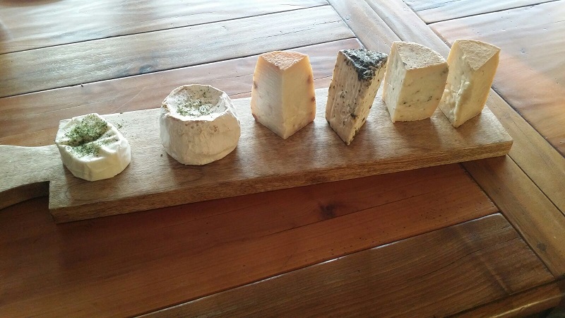 Backofenkäse Rezepte - Unser Käse